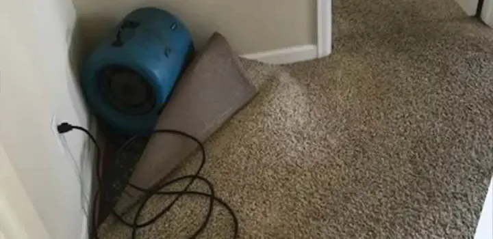 Air mover drying the floor beside wet carpet folded back from the wall