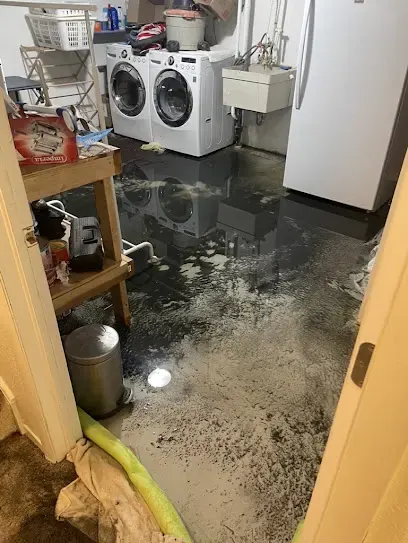 Appliance Leak Water Damage in Arvada, CO