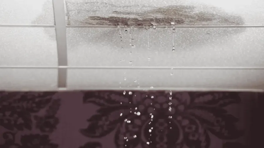Water dripping through a stained ceiling onto the room below